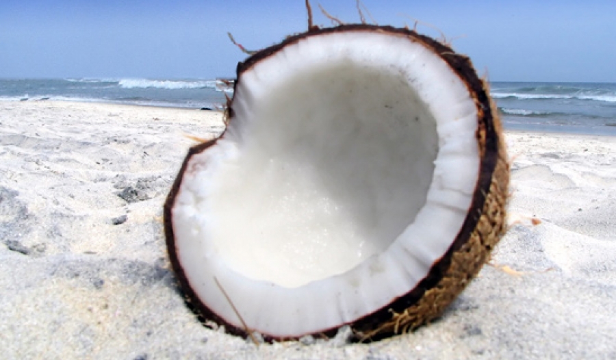 Why Organic Coconut Oil?