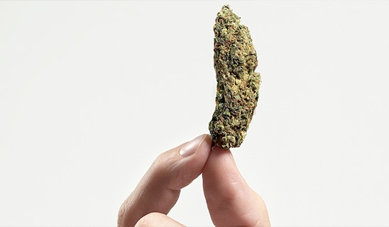 New Legal Cannabis Pharmacopoeia