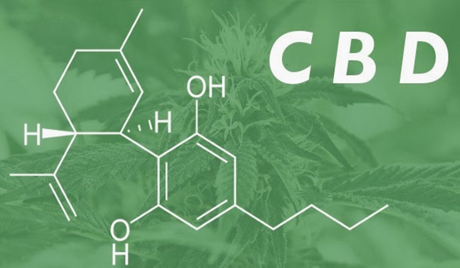 Five Essential Facts About Cannabidiol (CBD)