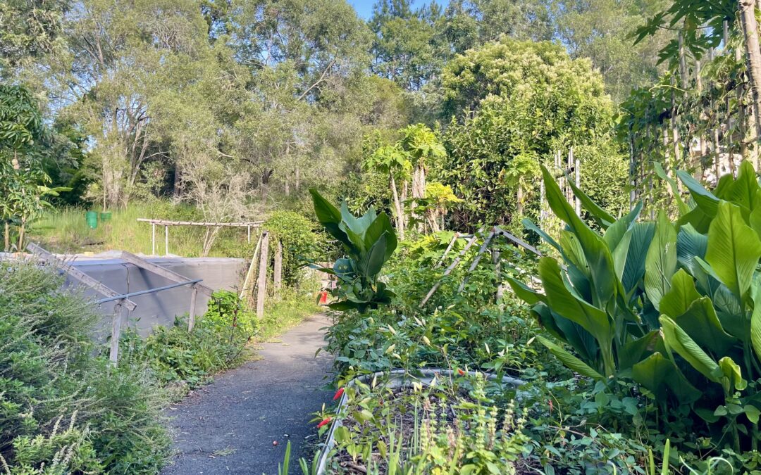 2026 Hippocrates Garden Party – Every Tuesday