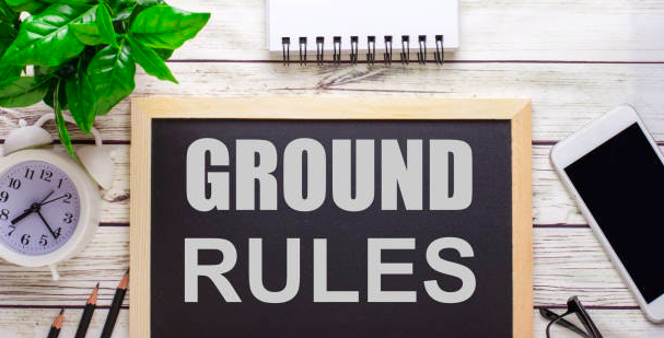 PLANDEMIC GAME GROUND RULES: THE TRUTH.