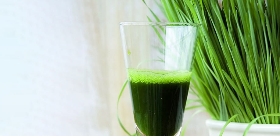 Wheatgrass Juice for Your Health